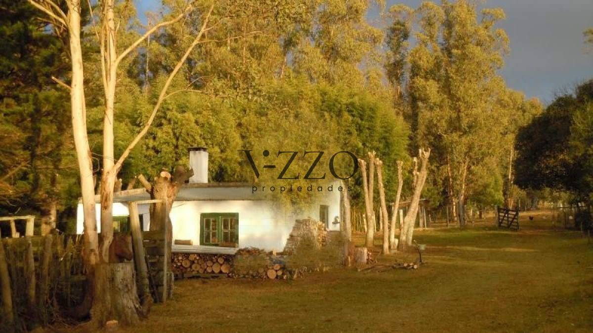 Chacra ID.1169/Chacra-en-venta-ubicada-a-2-km-de-la-ciudad-de-Aigua. - Chacra en venta ubicada a 2 km de la ciudad de Aigua.