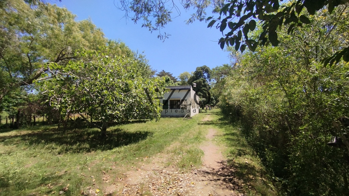 Chacra ID.1169/Chacra-en-venta-ubicada-a-2-km-de-la-ciudad-de-Aigua. - Chacra en venta ubicada a 2 km de la ciudad de Aigua.