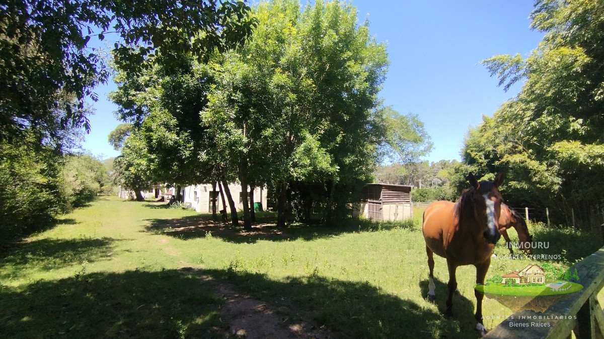Chacra ID.1476 - Chacra en venta ubicada a 2 km de la ciudad de Aigua.