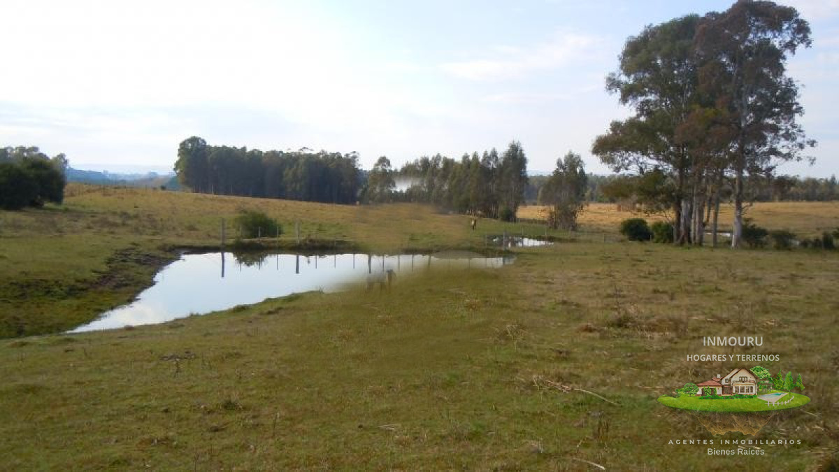 Chacra ID.1476 - Chacra en venta ubicada a 2 km de la ciudad de Aigua.