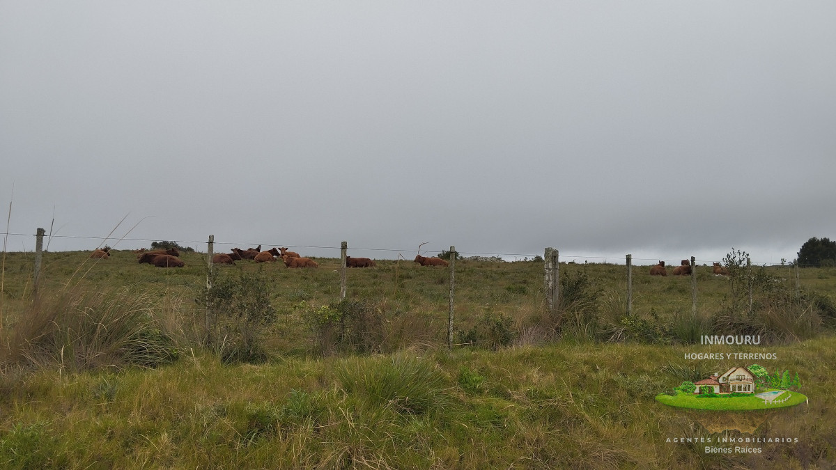 Campo Ref.356 - Campo en venta, Maldonado, en la zona del Cerro Catedral