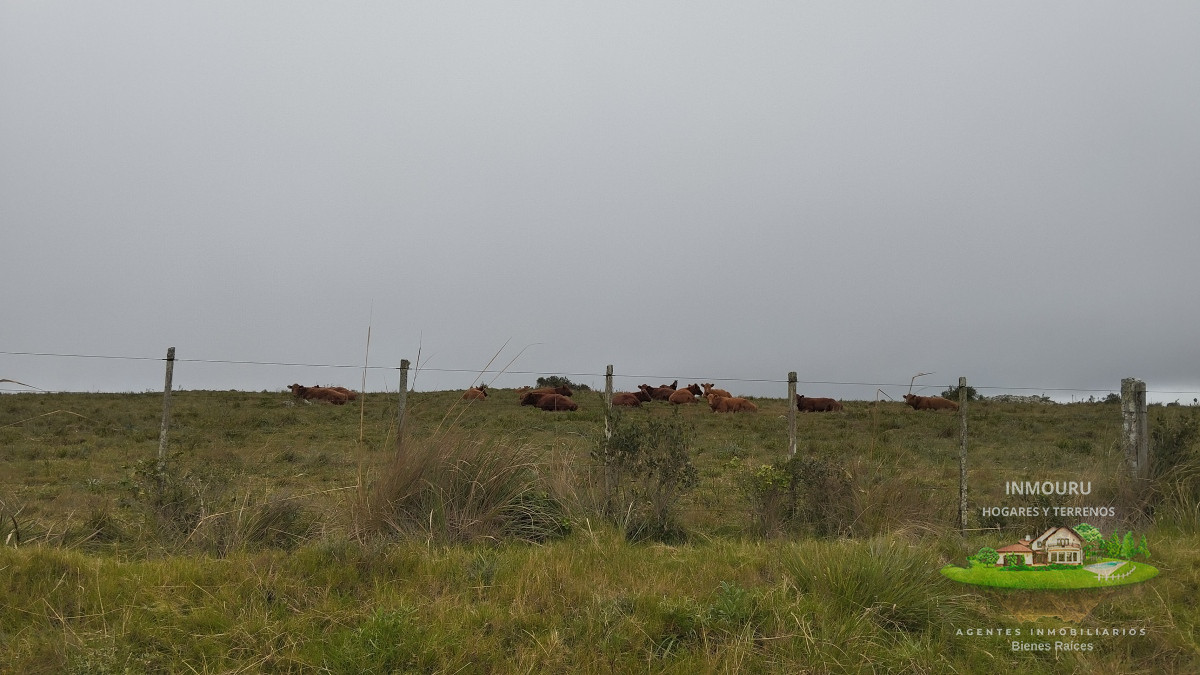 Campo Ref.356 - Campo en venta, Maldonado, en la zona del Cerro Catedral