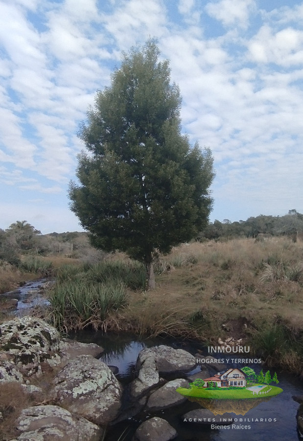 Campo Ref.356 - Campo en venta, Maldonado, en la zona del Cerro Catedral