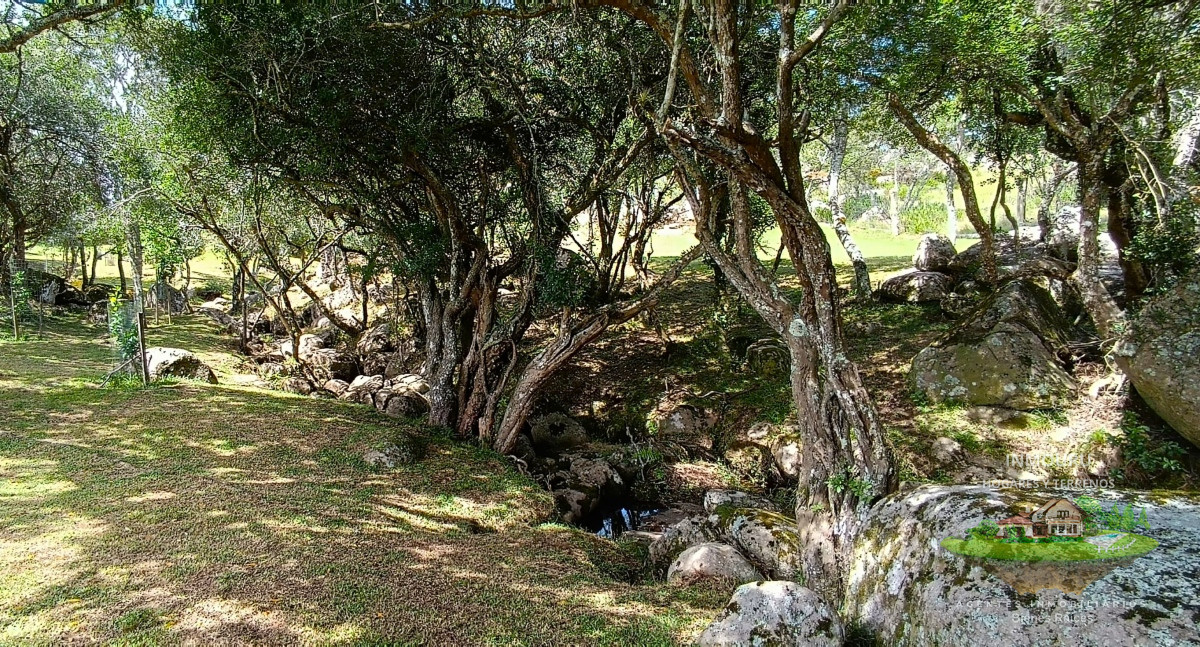 Campo Ref.352 - Campo en venta, a los pies del Cerro Catedral, Aigua