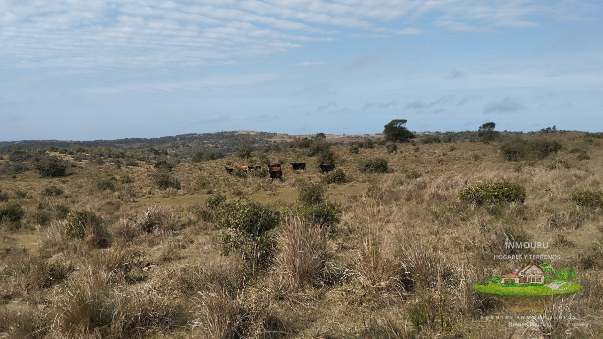 Campo Ref.356 - Campo en venta, Maldonado, en la zona del Cerro Catedral