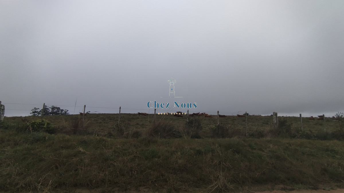 Campo Ref.351 - Campo en venta, Maldonado, en la zona del Cerro Catedral