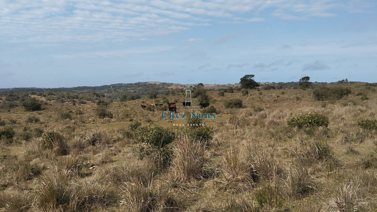Campo Ref.351 - Campo en venta, Maldonado, en la zona del Cerro Catedral