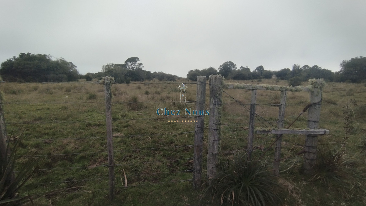 Campo Ref.351 - Campo en venta, Maldonado, en la zona del Cerro Catedral