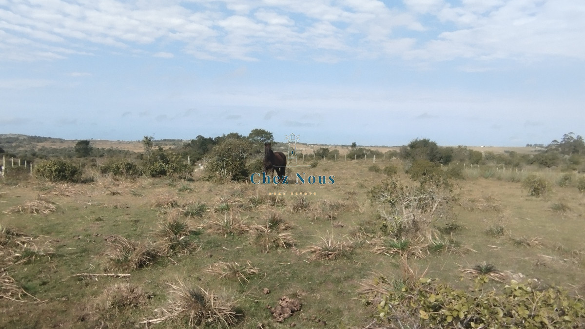 Campo Ref.351 - Campo en venta, Maldonado, en la zona del Cerro Catedral
