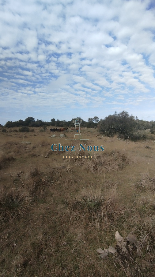 Campo Ref.351 - Campo en venta, Maldonado, en la zona del Cerro Catedral