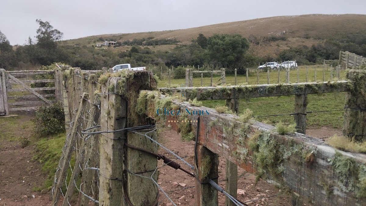 Campo Ref.351 - Campo en venta, Maldonado, en la zona del Cerro Catedral