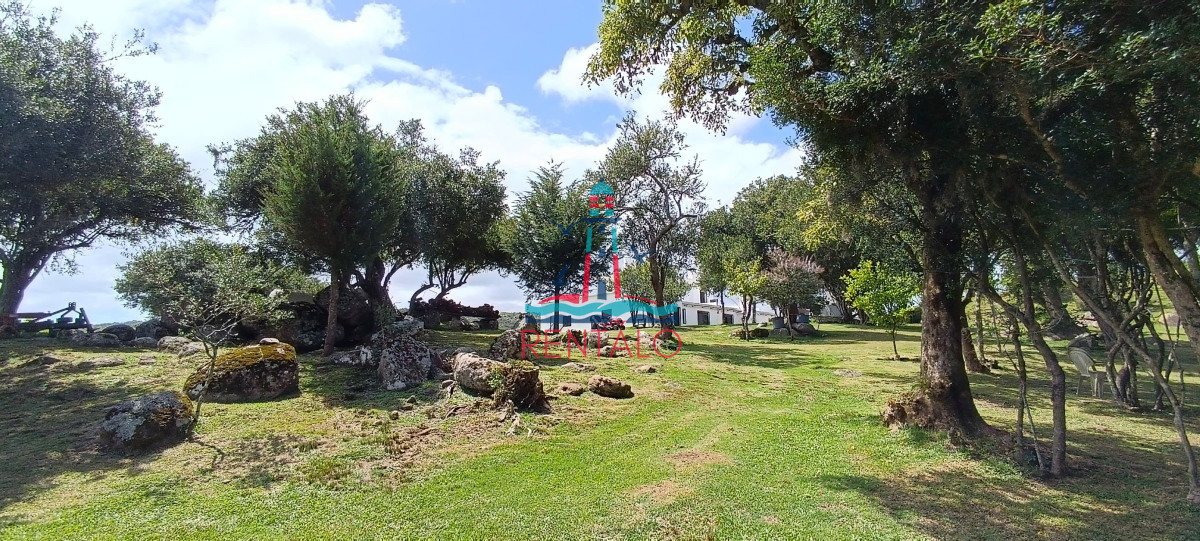 Campo Ref.151 - Campo en venta, a los pies del Cerro Catedral, Aigua