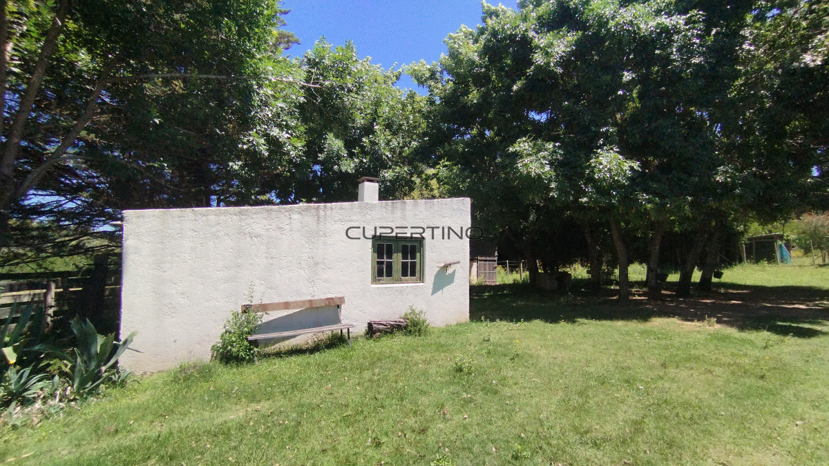Chacra ID.1174 - 