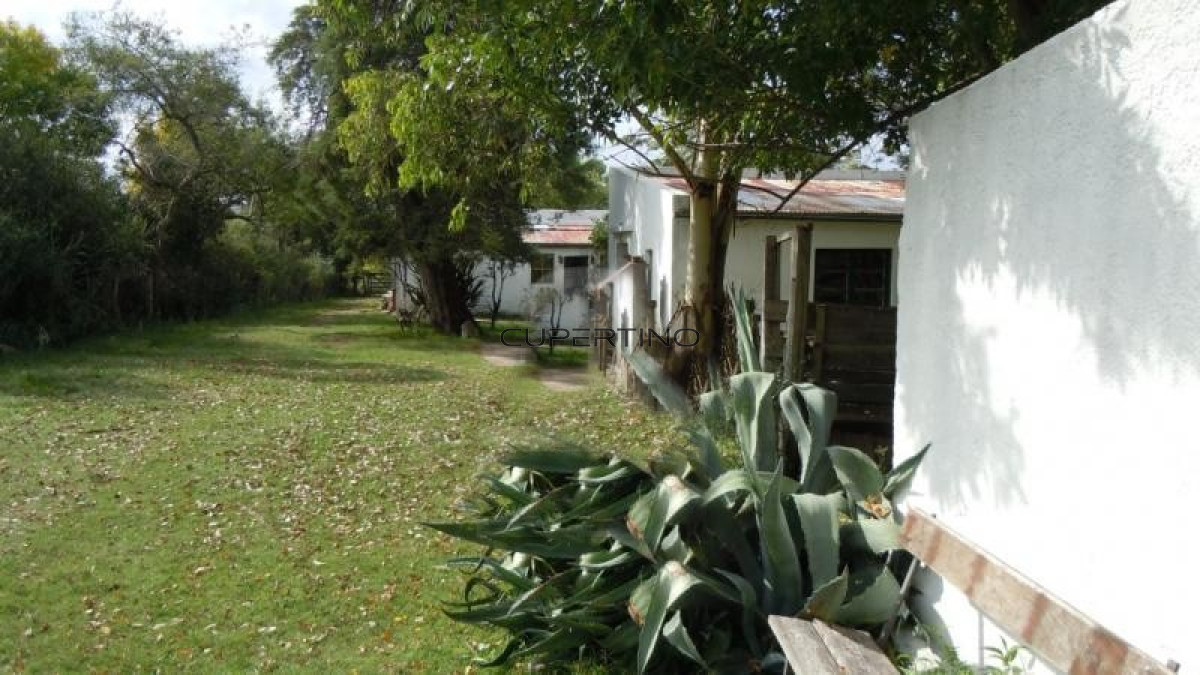Chacra ID.1174 - 