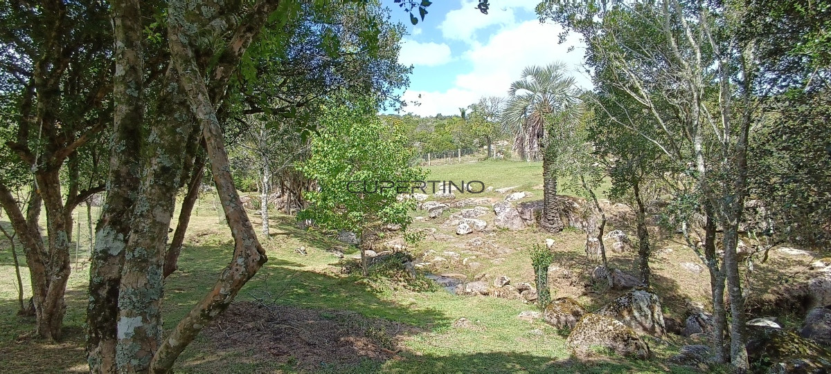 Campo en Zona Rural, — foto 41