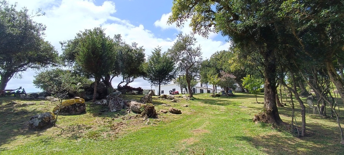 Campo en Zona Rural, — foto 42