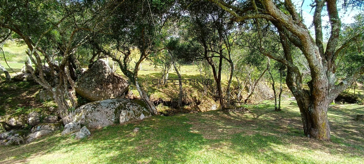 Campo en Zona Rural, — foto 43