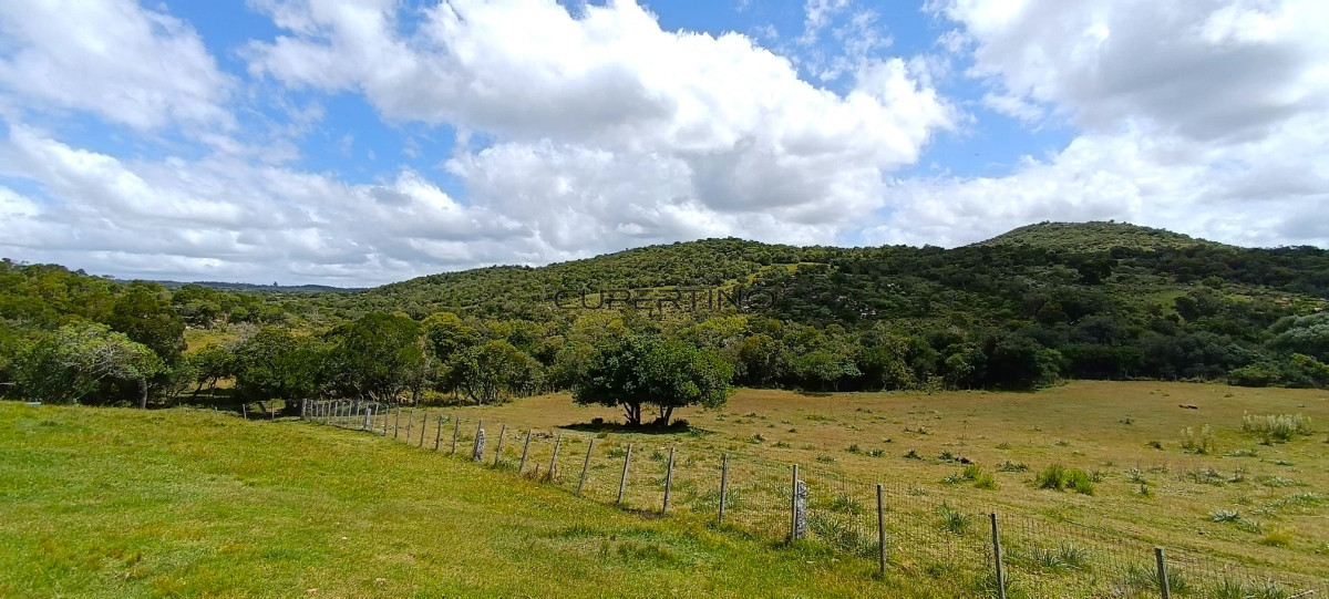 Campo en Zona Rural, — foto 37