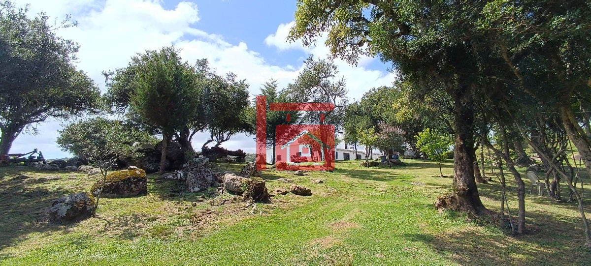 Campo Ref.65 - Campo en venta, a los pies del Cerro Catedral, Aigua