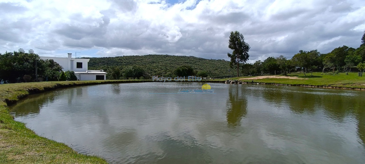 Campo en venta, a los pies del Cerro Catedral, Aigua - GoPunta - Portal Inmobiliario de Punta del Este - Maldonado