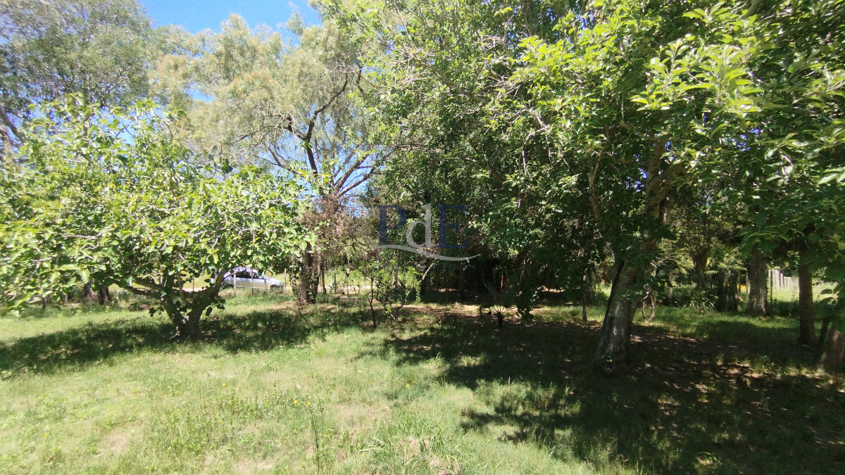 Chacra en Venta. Aiguá | 2 km del Centro.  - Imagen 18