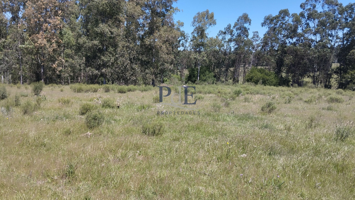 Chacra en Venta. Aiguá | 2 km del Centro.  - Imagen 12