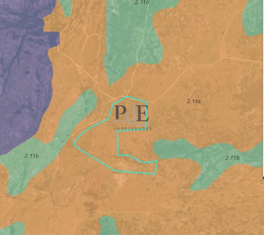 Campo en venta, Maldonado, en la zona del Cerro Catedral - Imagen 12