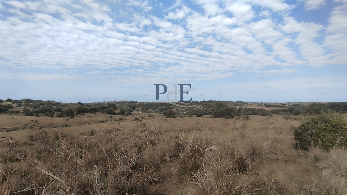 Campo en venta, Maldonado, en la zona del Cerro Catedral - Imagen 40