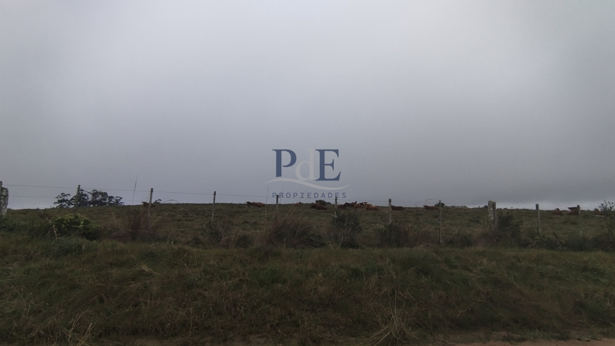 Campo en venta, Maldonado, en la zona del Cerro Catedral - Imagen 18