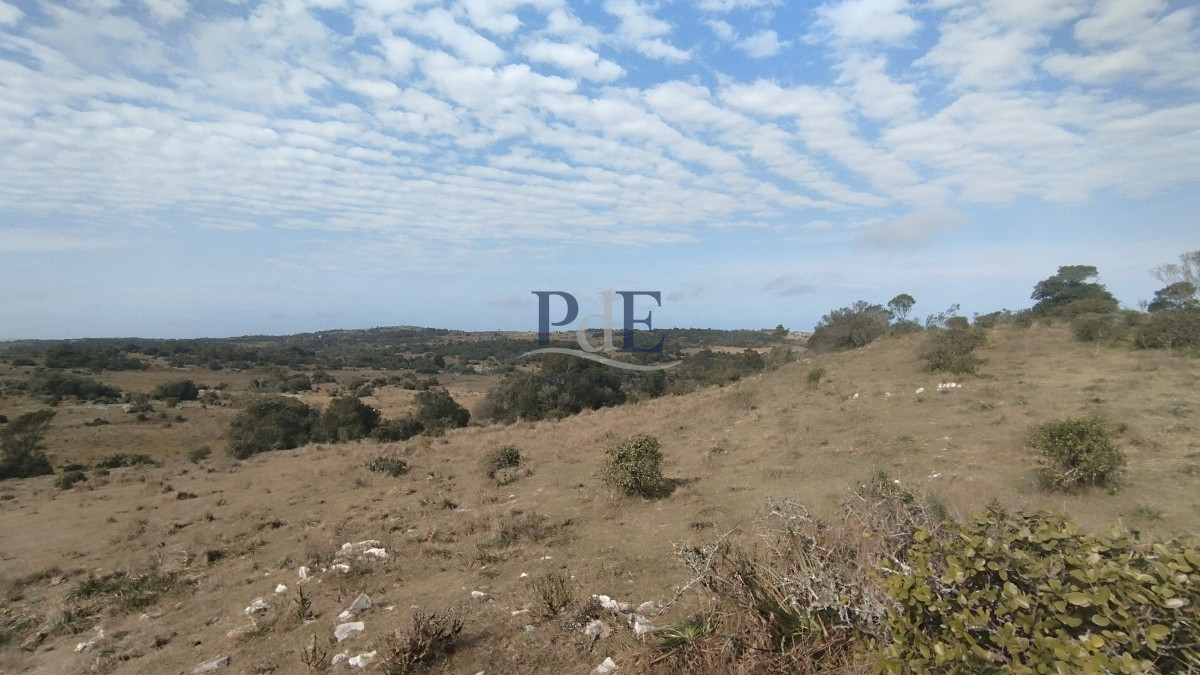 Campo en venta, Maldonado, en la zona del Cerro Catedral - Imagen 42
