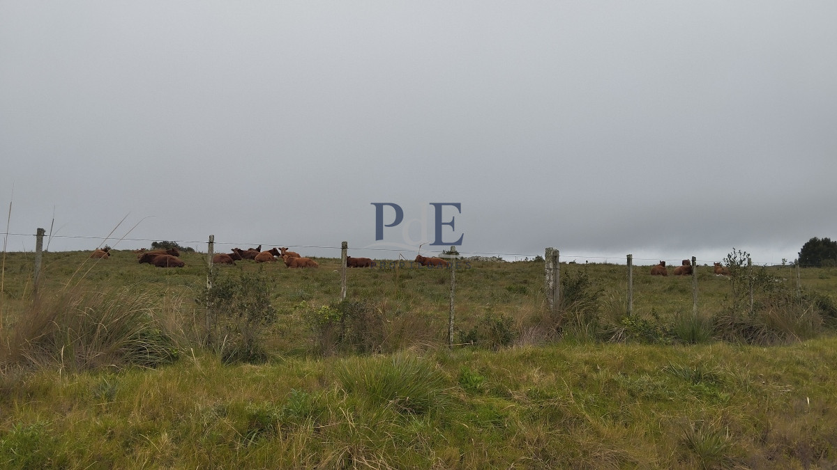 Campo en venta, Maldonado, en la zona del Cerro Catedral - Imagen 16
