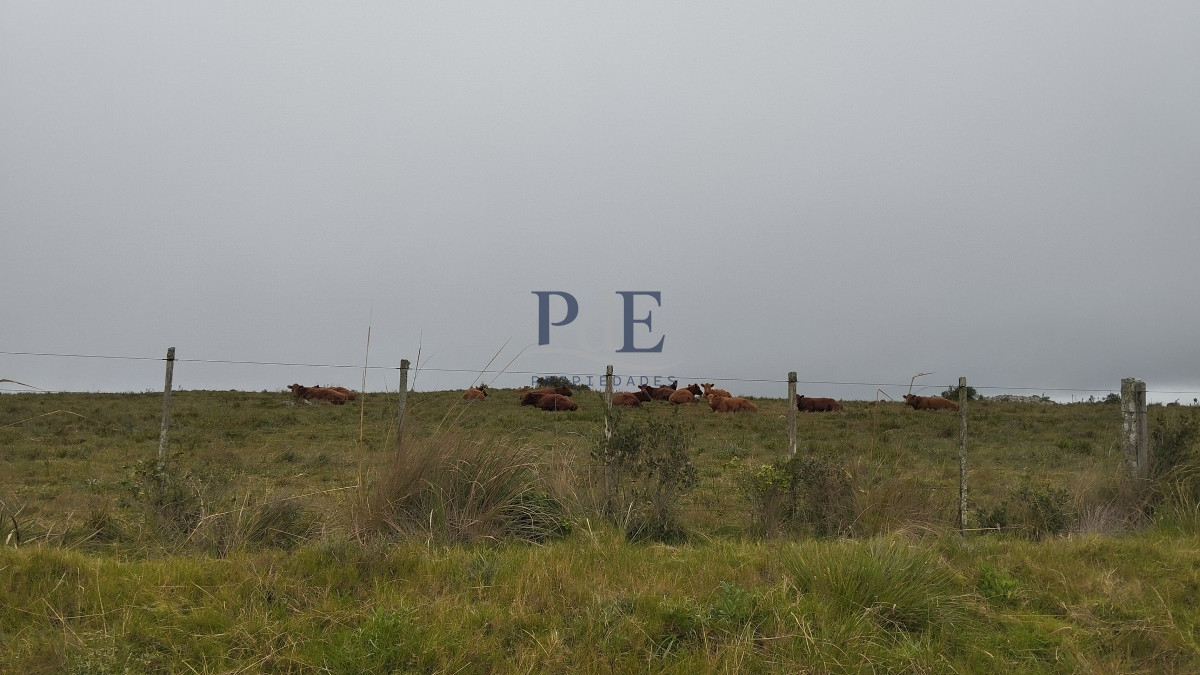 Campo en venta, Maldonado, en la zona del Cerro Catedral - Imagen 17