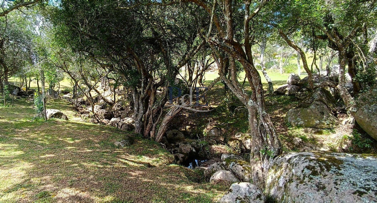 Campo en venta, a los pies del Cerro Catedral, Aigua. - Imagen 45