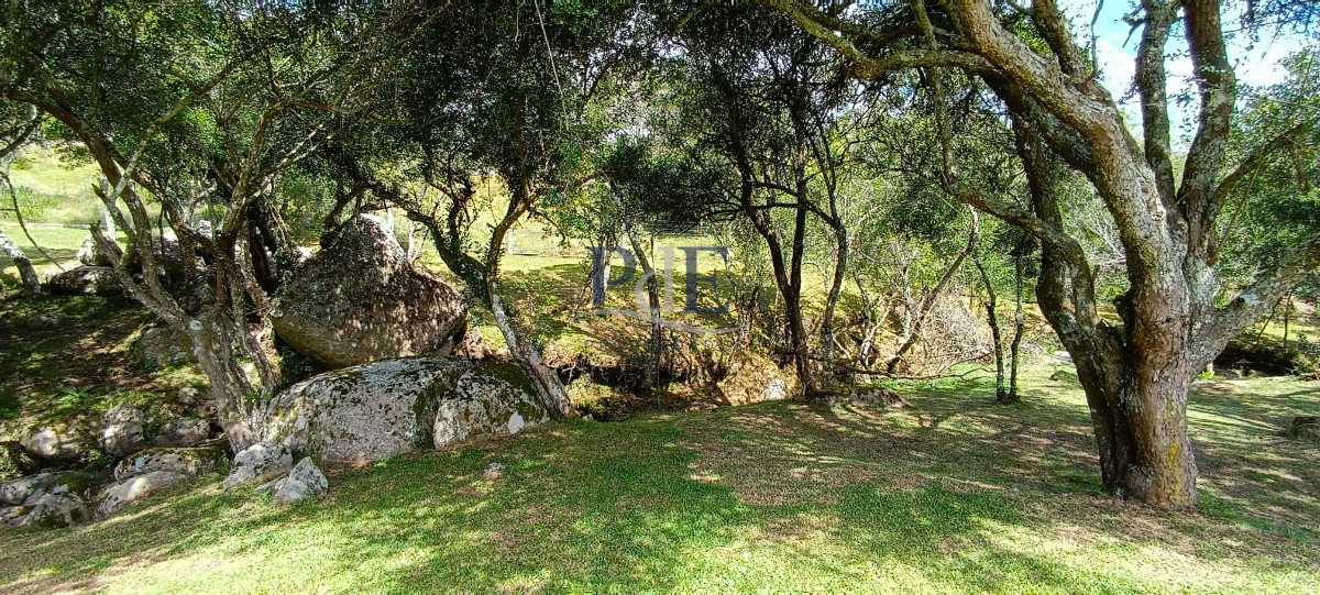 Campo en venta, a los pies del Cerro Catedral, Aigua. - Imagen 43