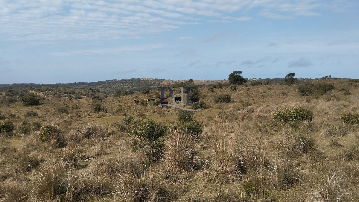 Campo en venta, Maldonado, en la zona del Cerro Catedral - Imagen 33