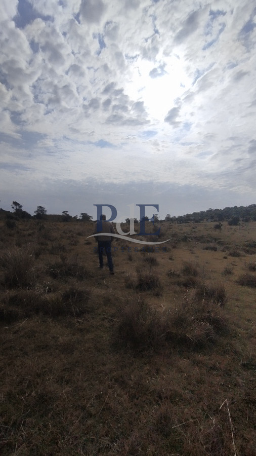 Campo en venta, Maldonado, en la zona del Cerro Catedral - Imagen 41
