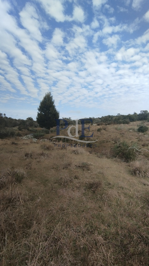 Campo en venta, Maldonado, en la zona del Cerro Catedral - Imagen 51