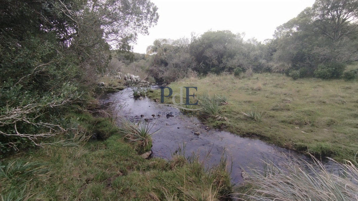 Campo en venta, Maldonado, en la zona del Cerro Catedral - Imagen 1