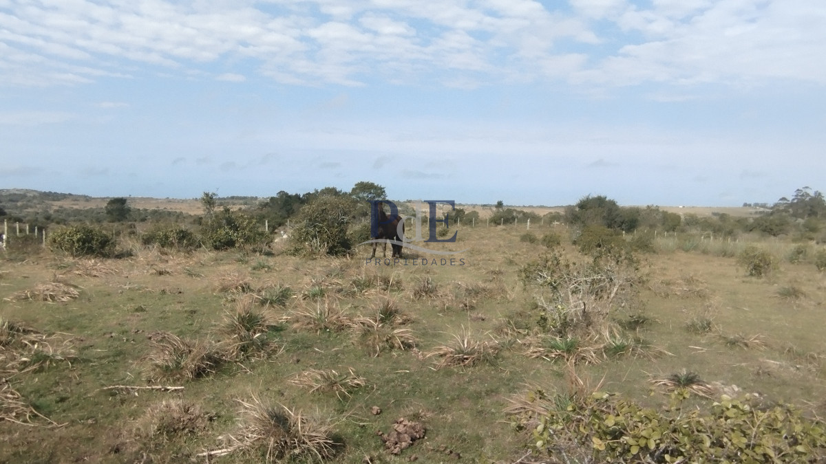 Campo en venta, Maldonado, en la zona del Cerro Catedral - Imagen 32