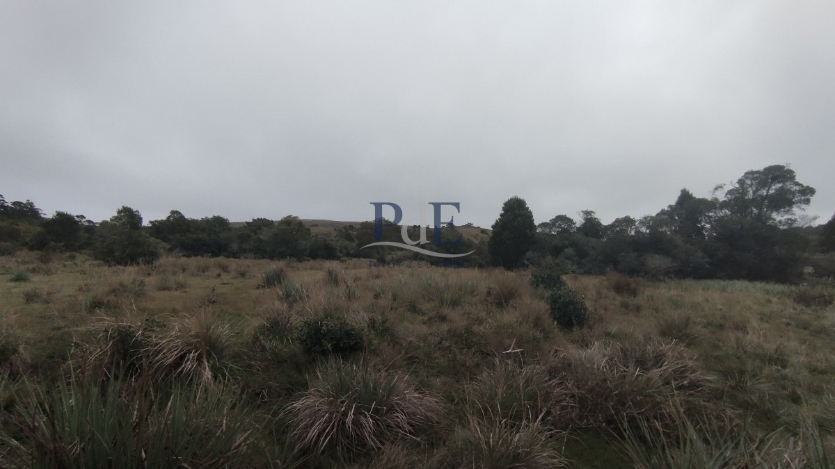 Campo en venta, Maldonado, en la zona del Cerro Catedral - Imagen 27
