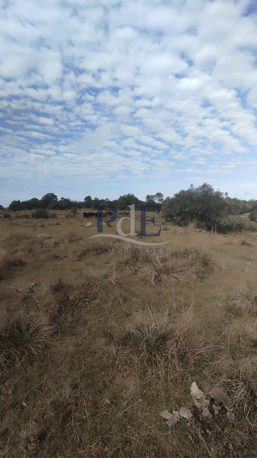 Campo en venta, Maldonado, en la zona del Cerro Catedral - Imagen 52