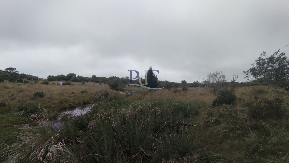 Campo en venta, Maldonado, en la zona del Cerro Catedral - Imagen 3