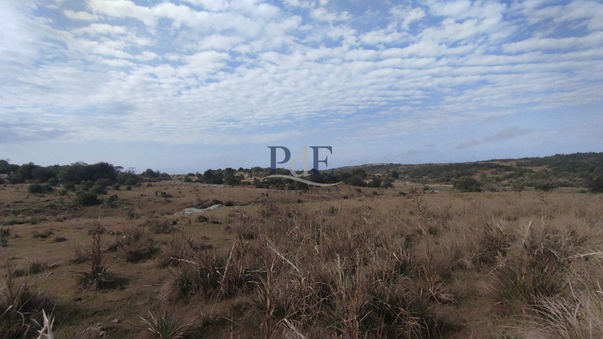 Campo en venta, Maldonado, en la zona del Cerro Catedral - Imagen 49
