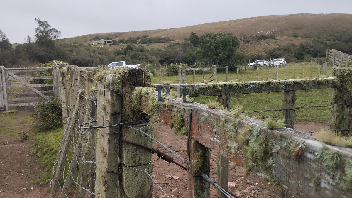 Campo en venta, Maldonado, en la zona del Cerro Catedral - Imagen 4