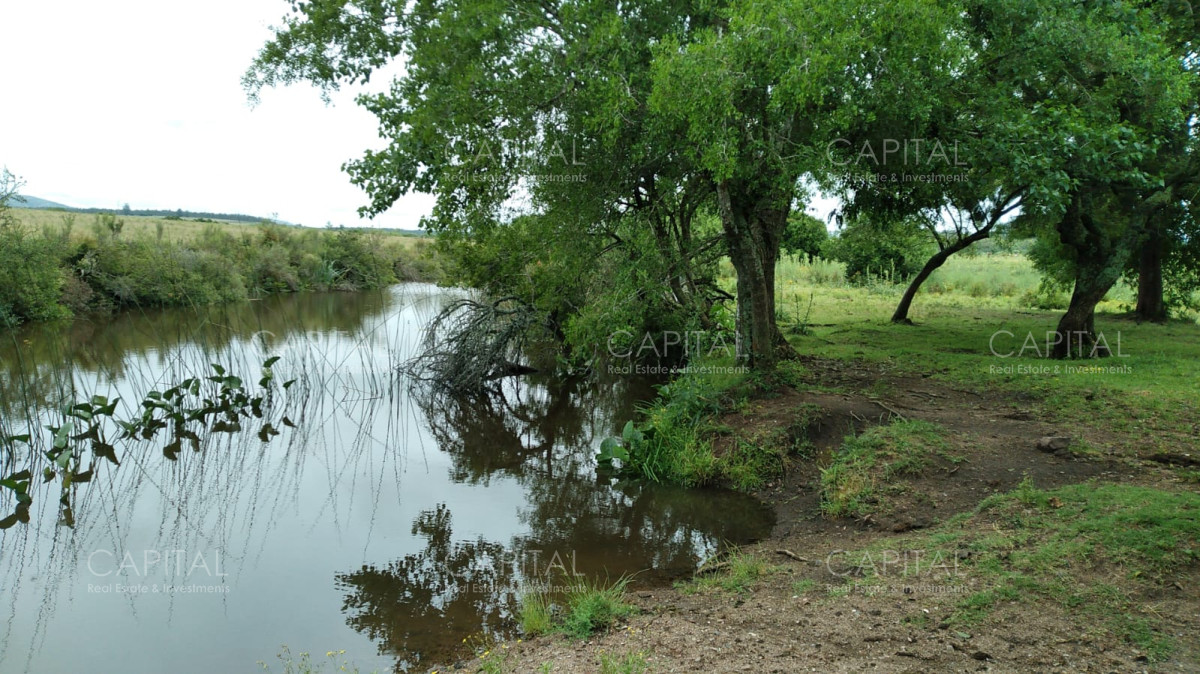 Chacra ID.35756 - Chacra en venta, San Carlos, zona Partido Norte