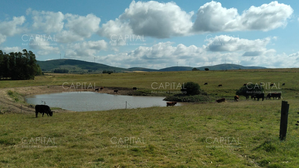 Chacra ID.35754 - Chacra en venta, San Carlos, zona Partido Norte