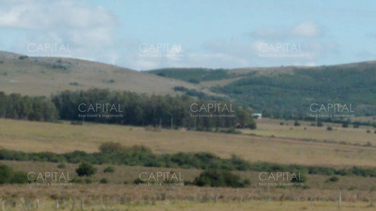 Chacra ID.35756 - Chacra en venta, San Carlos, zona Partido Norte