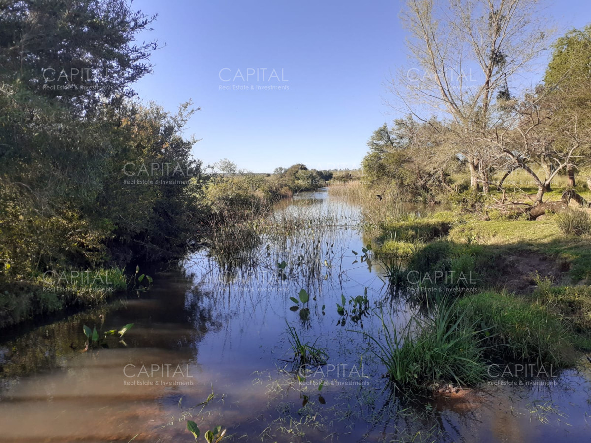 Chacra ID.35756 - Chacra en venta, San Carlos, zona Partido Norte