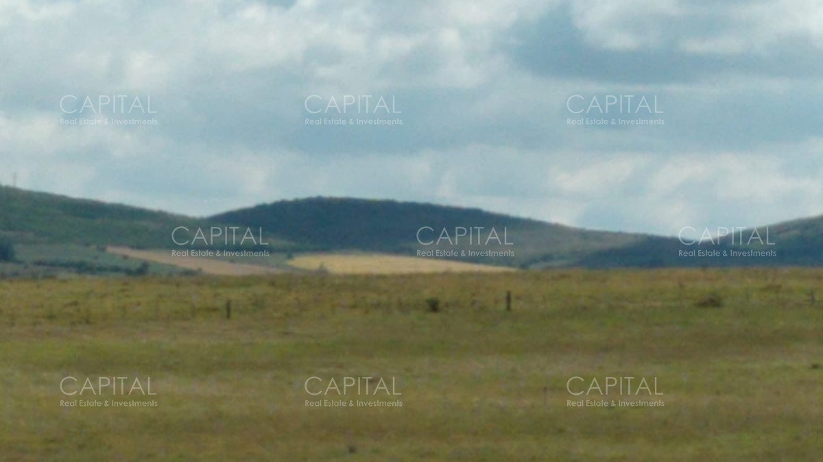 Chacra ID.35754 - Chacra en venta, San Carlos, zona Partido Norte