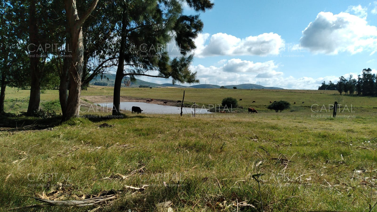 Chacra ID.35754 - Chacra en venta, San Carlos, zona Partido Norte